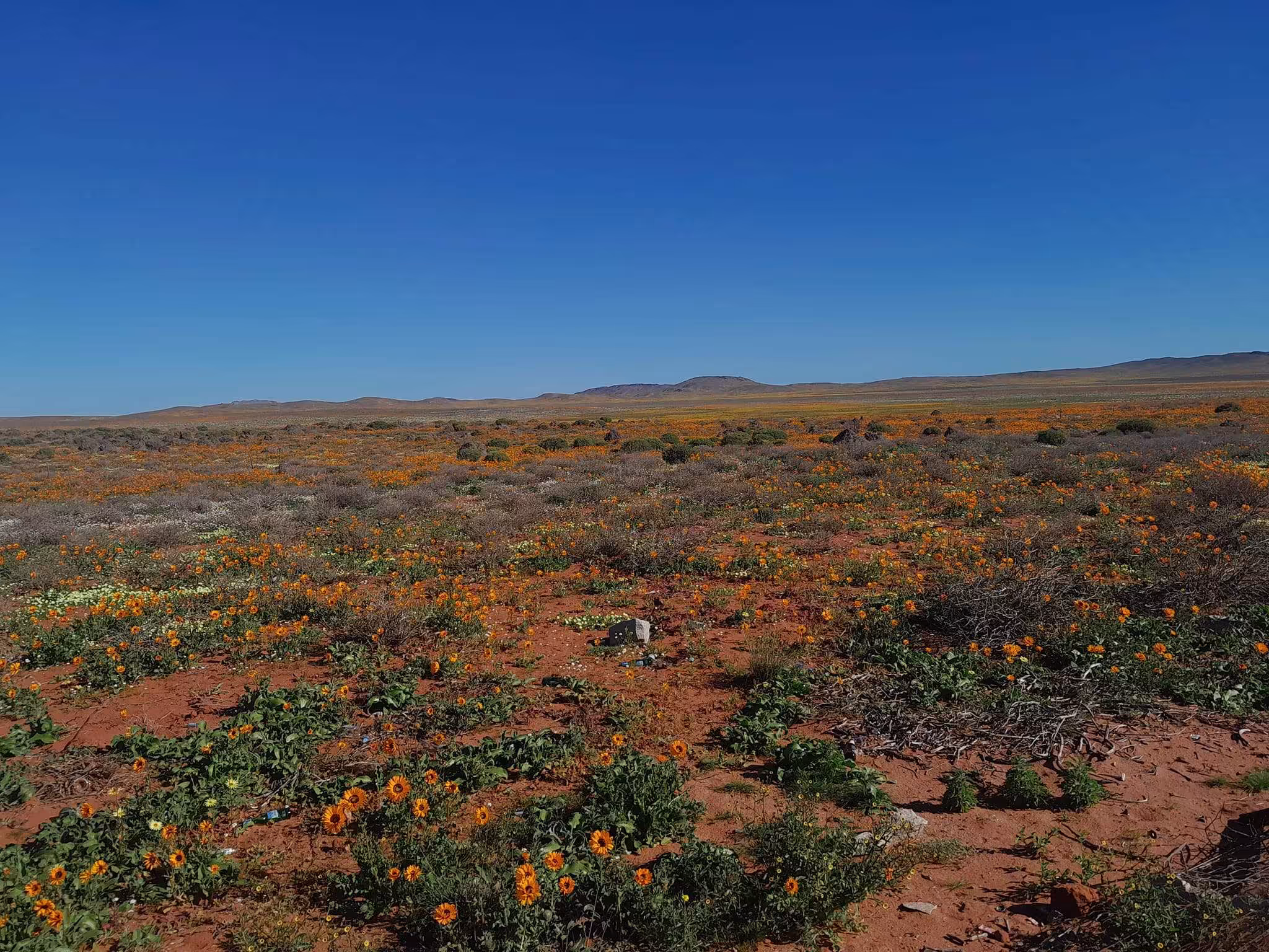 Aukwatowa Tours – Richtersveld & Namaqualand Tours from Port Nolloth