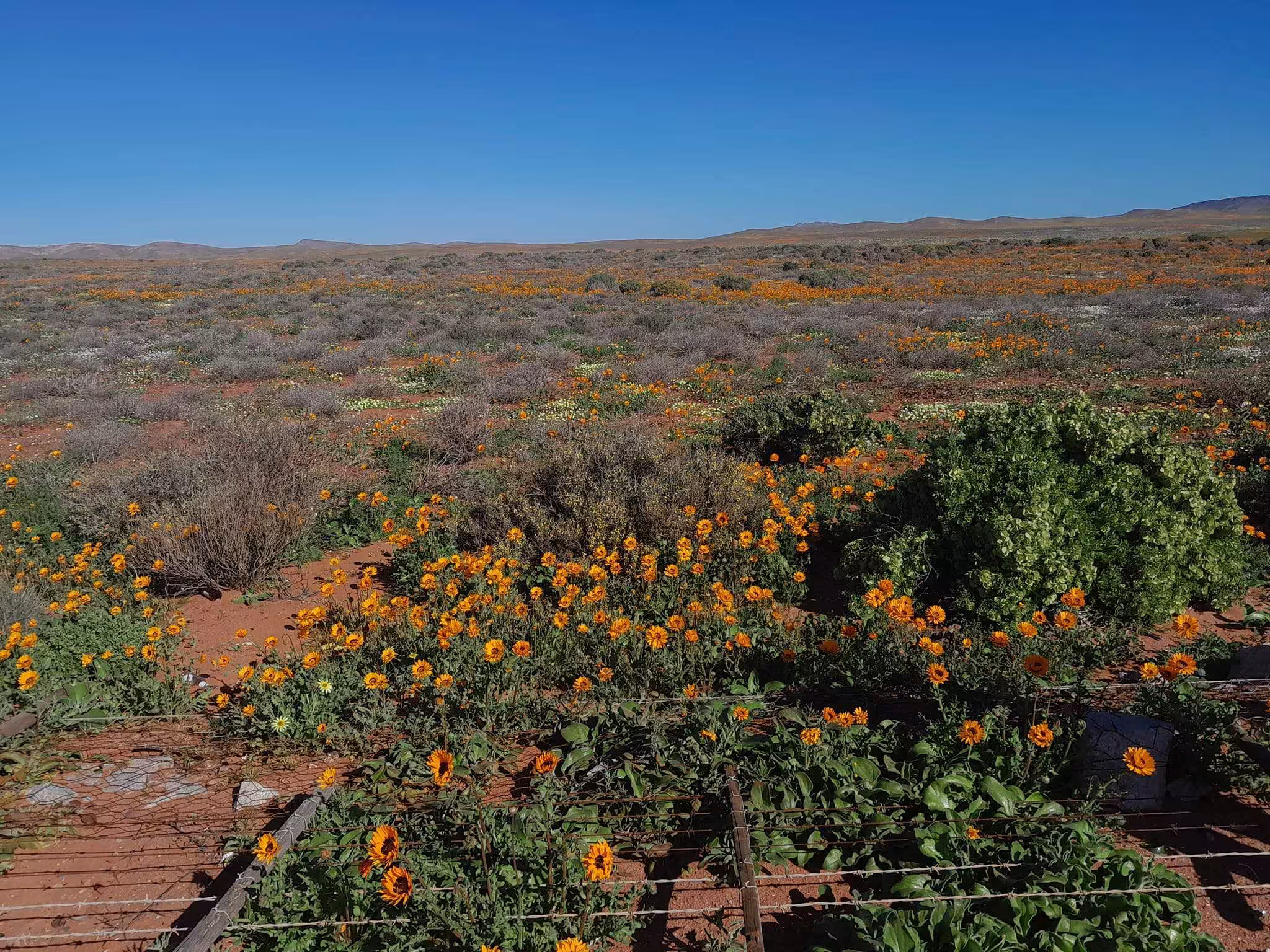 Aukwatowa Tours – Richtersveld & Namaqualand Tours from Port Nolloth