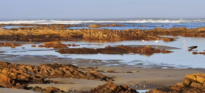 McDougalls Bay – Port Nolloth's Coastal Escape