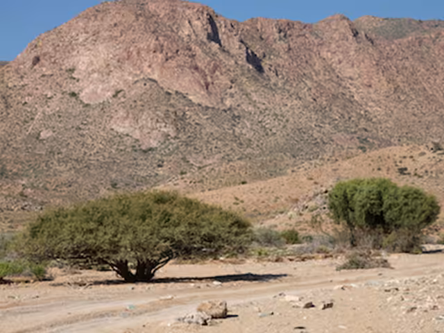 Richtersveld 4×4 Trails near Port Nolloth